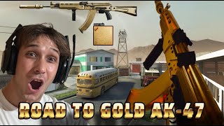 ROAD TO GOLD AK47 BLACK OPS 6 MI PRIMER ARMA EN ORO [upl. by Burtis]