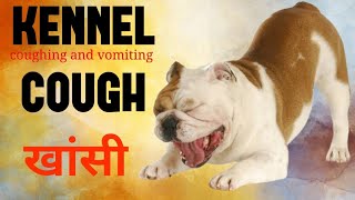 Understanding Kennel Cough Symptoms Treatment and Prevention [upl. by Aitnuahs]