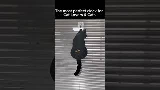 Item no35 Cat Tail Clock😻 Check the description for more info cattail clock cat animalclock [upl. by Ysnil842]