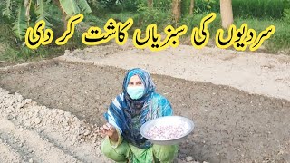 Sardion Ki Sabzi Aaj Kasht Kar Di  Panjab Village Life [upl. by Maibach]