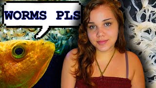 BEST Live Food For Bettas Unboxing Food Cultures amp DIY Grindal Worm Colony [upl. by Salomi]