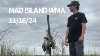 MAD ISLAND WMA DUCK HUNT 2425 [upl. by Jonme]