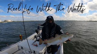 NonStop Red Fish Fall Fishing In Baytown Tx [upl. by Silin]