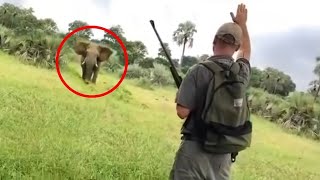 20 Times African Safari Trips Went Horribly Wrong [upl. by Emmalynne99]