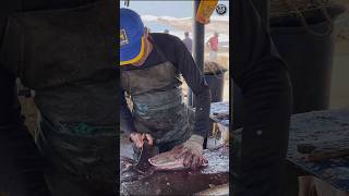 Amazing Big Skipjack Tuna Fast Fish Cutting Skills fishcutting fishcutting thefishcutter [upl. by Ahseinat]