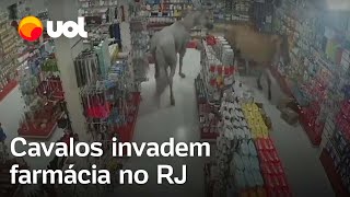 Cavalos invadem farmácia e derrubam prateleiras no Rio de Janeiro vídeo flagra momento da invasão [upl. by Seymour]