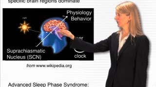 The circadian clock  Cori Bargmann RockefellerHHMI [upl. by Finnigan593]