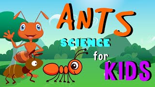 Ants  Science for Kids [upl. by Bohlin]