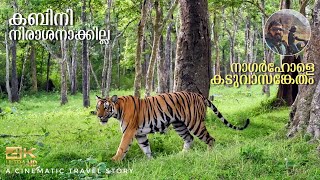 Kabini Forest Safari  Nagarhole Tiger Reserve Karnataka [upl. by Livvy]