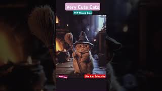 Fat Cute Wizard Cats Check this out kucingviral cats cutecats ytindo shorts viral kucinglucu [upl. by Ringe]