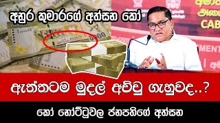 ඇත්තටම මුදල් අච්චු ගැහුවද  කෝ ජනපතිගේ අත්සන Vijitha Herath  Anura Kumara Dissanayake  NPP [upl. by Akerue]