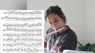 L Drouet 25 studies for flute  7 Allegro [upl. by Ahsieuqal]