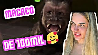 o macaco invadiu a casa da deolane [upl. by Willcox]