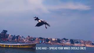 Ilyas Mao  Spread Your Wings vocals only [upl. by Garrott]