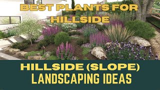 Best Plants For Hillside Landscaping  Slope Area Landscaping Ideas  Front Yard Garden Ideas [upl. by Ximenez]