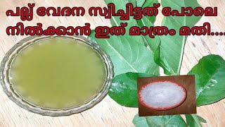 പല്ല് വേദന  മോണയിലെ പഴുപ്പ് പെട്ടെന്ന് മാറാൻ Tooth Pain solution💯 Result [upl. by Lleinnad1]