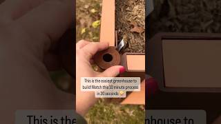 Home Gardening  This is the EASIEST Greenhouse Build For YOUR Yard [upl. by Zampino]