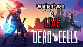 DEAD CELLS GAMEPLAY LIVE [upl. by Ahsataj308]