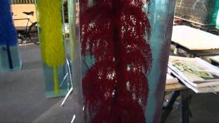 Dustin Yellin Rough Cut Studio Visit [upl. by Lewak]