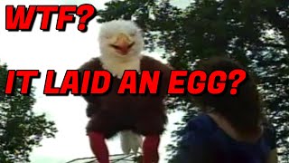 Man Bird Lays Egg  Eagleman  Eagle Insurance Commercial [upl. by Mharba504]