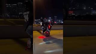 Holding A CBR600 Rev Limiter Wheelie [upl. by Liddle]