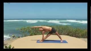 Sakshi Hatha Yoga  Trikonasana or the Triangle Pose [upl. by Adlar]