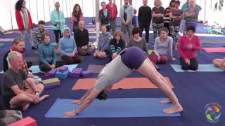 Iyengar Yoga class By Birjoo Mehta  World Yoga Festival [upl. by Burck]