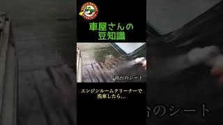 車屋さんの豆知識 エンジンルームクリーナーで洗車してみた [upl. by Sirrap]