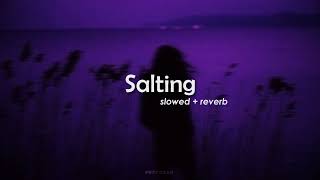 Salting slowedreverb  Dj Salting  Tiktok Remix  2021  Indo Remix  TikTok Viral [upl. by Suoirad]