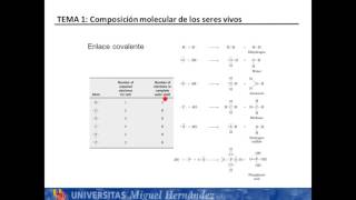 Lec112 El carbono umh1025 201516 [upl. by Soinotna908]