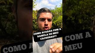 MELHOR COLÍRIO PARA CACHORRO COM OLHO REMELANDO MUITA SECREÇÃO NOS OLHOS FECHADOS FICANDO CEGO [upl. by Ladnyc]