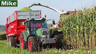 Mais hakselen 2017  Claas Jaguar 690SL MEGA  Fendt  Hardeman  Assel  Nederland [upl. by Bourn]