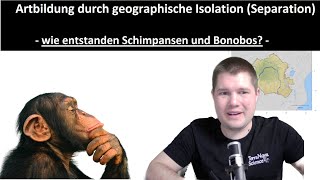 ABITRAINING  Evolution 6 Artbildung  Wie sind die Schimpansen und Bonobos entstanden [upl. by Yditsahc]