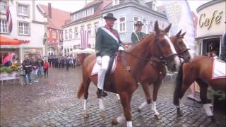 Schützenumzug in Warendorf 22082016 [upl. by Bud614]