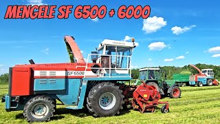 Mengele V10 röhrt heftig mit V8 SF 6500  bei SF 6000 Grasernte mit amp Deutz amp Farmer amp IHC amp Kubota [upl. by Gnilrad]