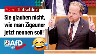 Neues Wort für „Zigeuner“ ist der pure Blödsinn – Sven Tritschler AfD [upl. by Lednam846]