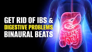 Get Rid Of Ibs And Digestive Problems  Improve Your Gut Bacteria amp Health  Binaural Beats Healing [upl. by Nottirb]