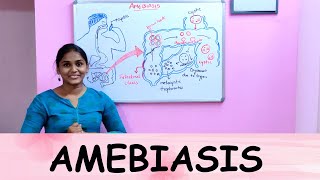 AMEBIASIS PATHOPHYSIOLOGY [upl. by Yelda]