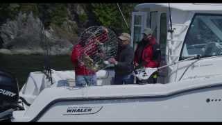 Boston Whaler 285 Conquest Pilothouse [upl. by Litton]