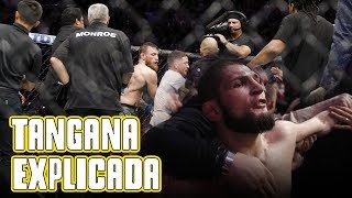 ¡EXPLICADO La batalla campal de McGregor y Khabib [upl. by Elockin]