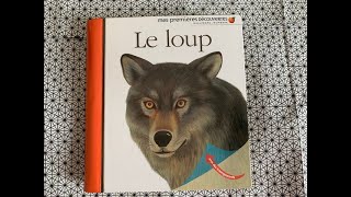 ⭐️Le loup  extrait livre documentaire  mes premières découvertes Gallimard jeunesse [upl. by Hitchcock]