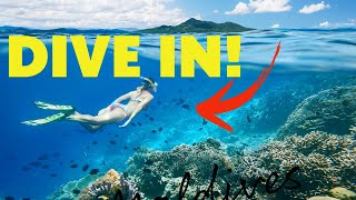 How to Snorkel Like a Pro Tips and Tricks [upl. by Sheryl]