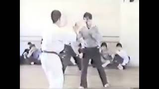 Kyokushin Karate vs Teikiken  Style vs Style Challenge part2  Kenjie Yamaki vs Teikiken fighter [upl. by Atnauqal76]