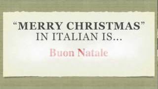 How To Say Merry Christmas in Italian  quotBuon Natalequot [upl. by Phelgon884]