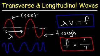 Transverse and Longitudinal Waves [upl. by Augie]