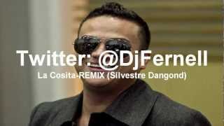 La Cosita RemixSilvestre Dangond RemixDj Fernell [upl. by Alexandr]