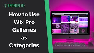 How to Use Wix Pro Galleries as Categories  Wix  Wix Tutorial  Web Design  Wix Website [upl. by Yelsnik691]