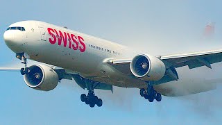 36 MORNING LANDINGs in DENSE FOG  Zurich Airport Plane Spotting  4K [upl. by Nimaynib525]