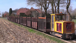 Feldbahn Torfbahn des Torfwerkes quotHolthaus amp Fortmannquot in Lohne [upl. by Washburn]