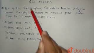 Four genera Taeniophyllum Euphorbia Acacia and Lathyrus possess chlorophyllous tissues in vari [upl. by Timothea905]